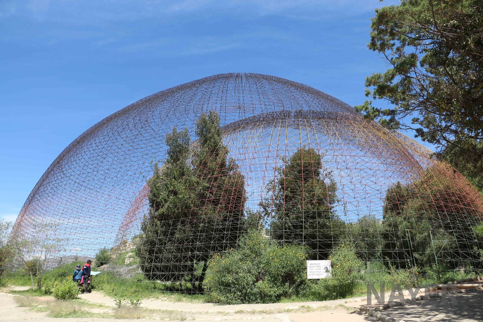 Giant aviary for condors, March 2016