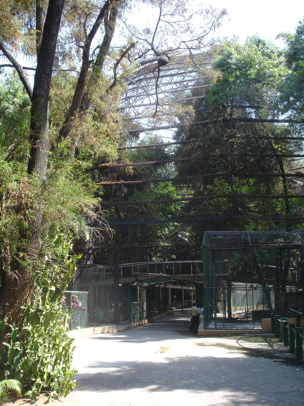 Giant Aviary - see height compared to adult at entrance