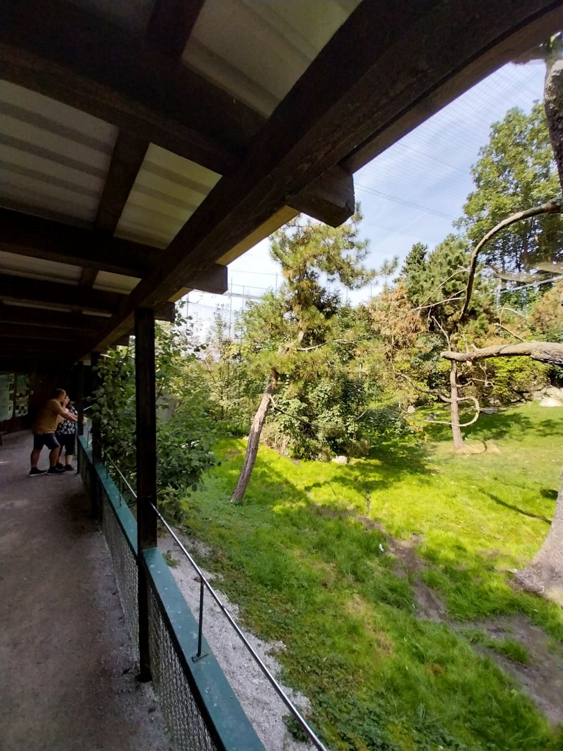 Giant aviary - Visitors walkway