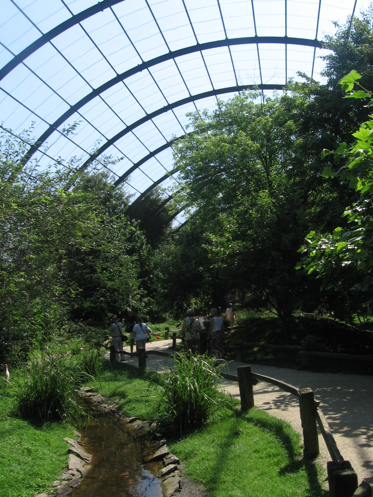 Giant Aviary