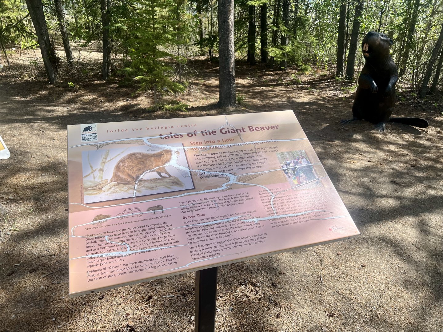 Giant Beaver Information