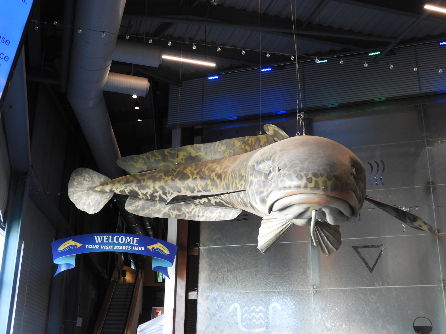 Giant Burbot Statue in Entrance Hall