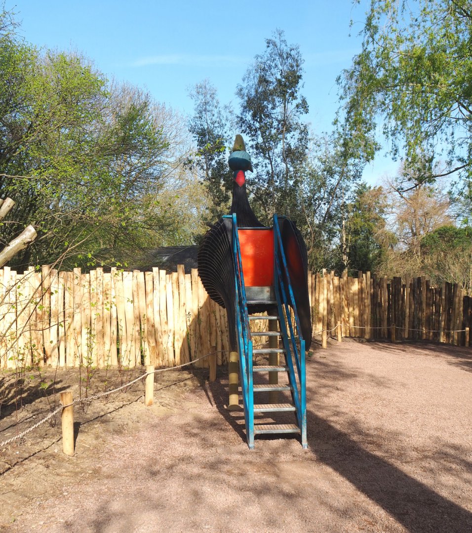 Giant cassowary viewing point in new location, 2022-04-12