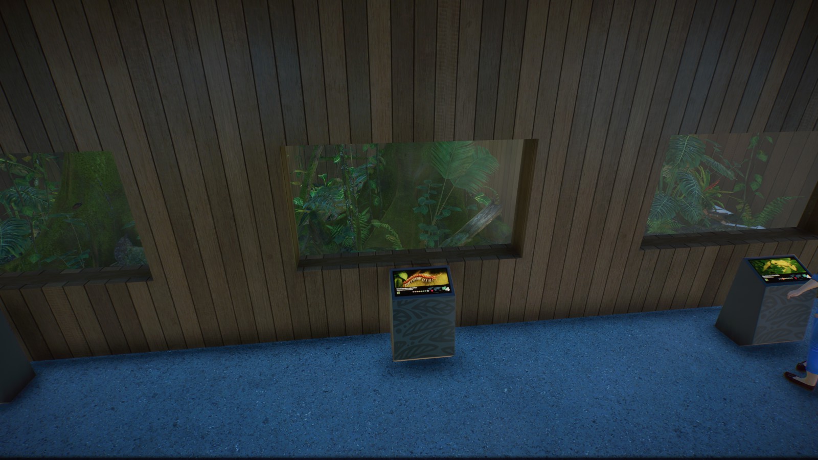 Giant Centipede Tank