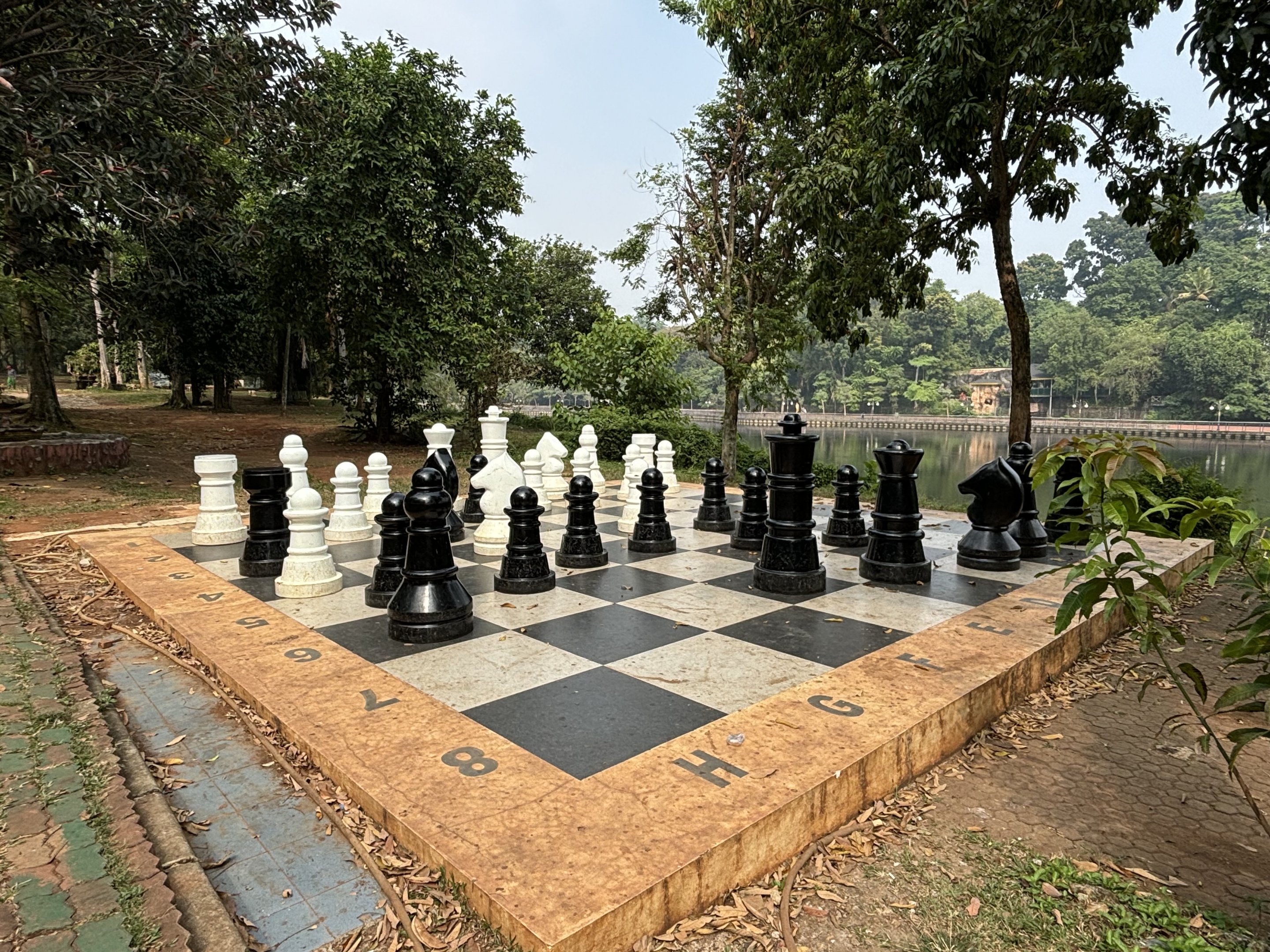 Giant Chessboard