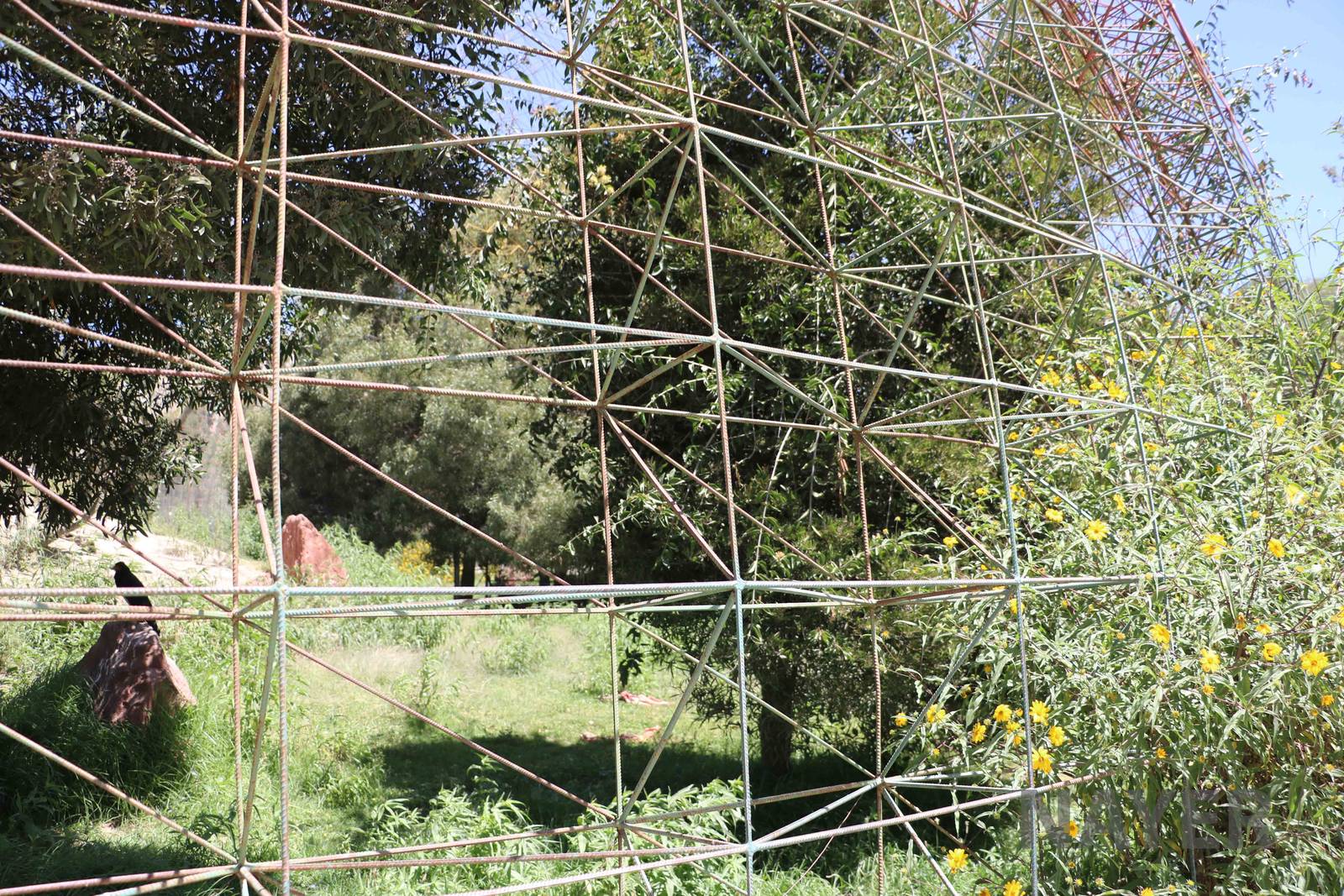 Giant condor aviary, March 2016