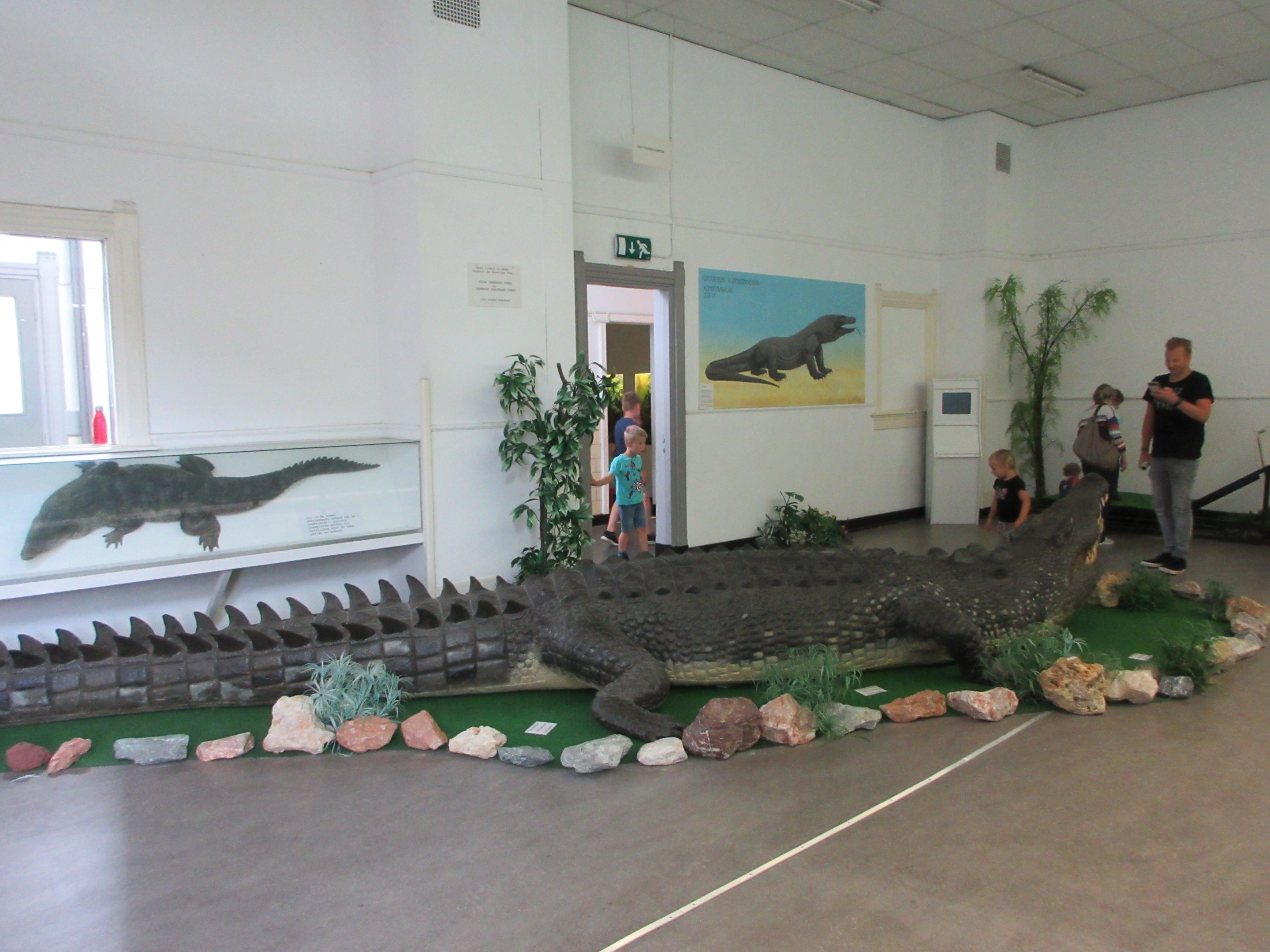 Giant Croc!