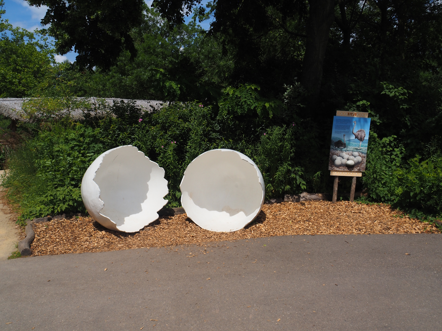 Giant egg and sign about ostrich reproduction, 2024-06-30