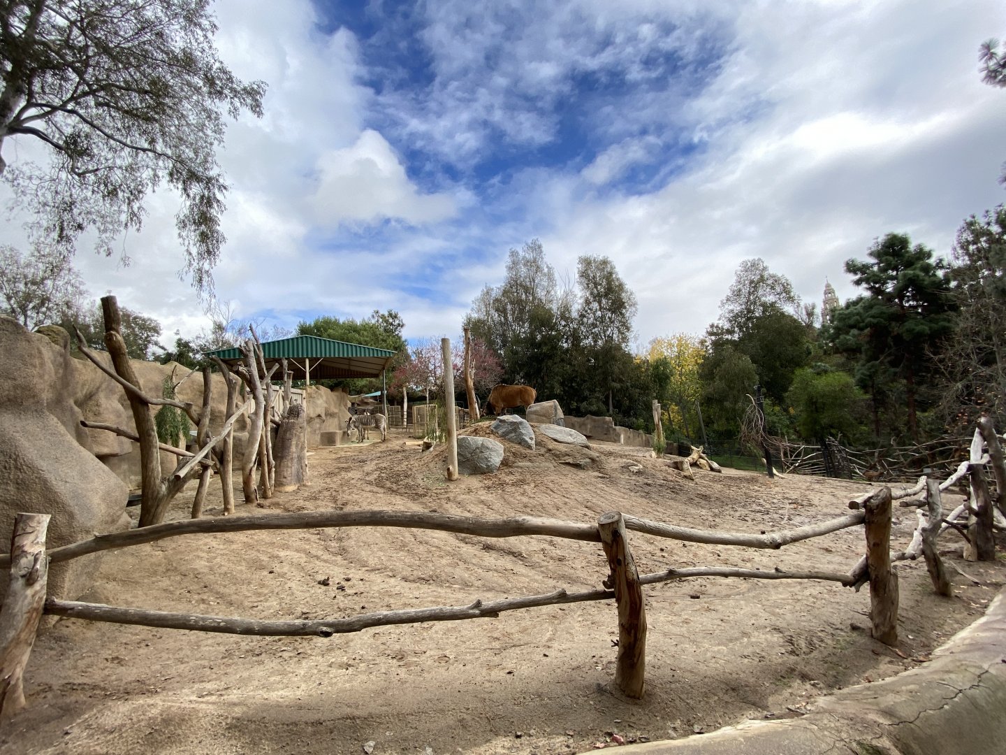 Giant Eland, Grevy’s Zebra, and Southern Gerenuk Habitat