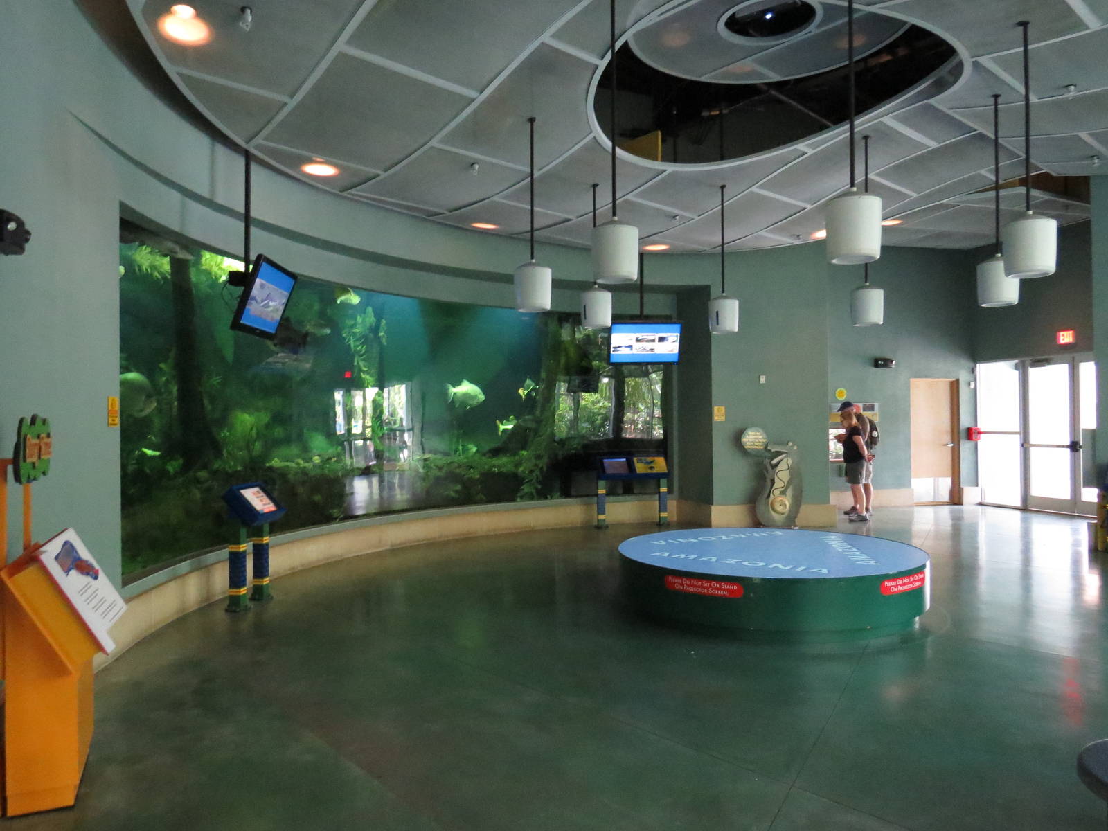 Giant fish tank - Amazon and beyond, March 2015