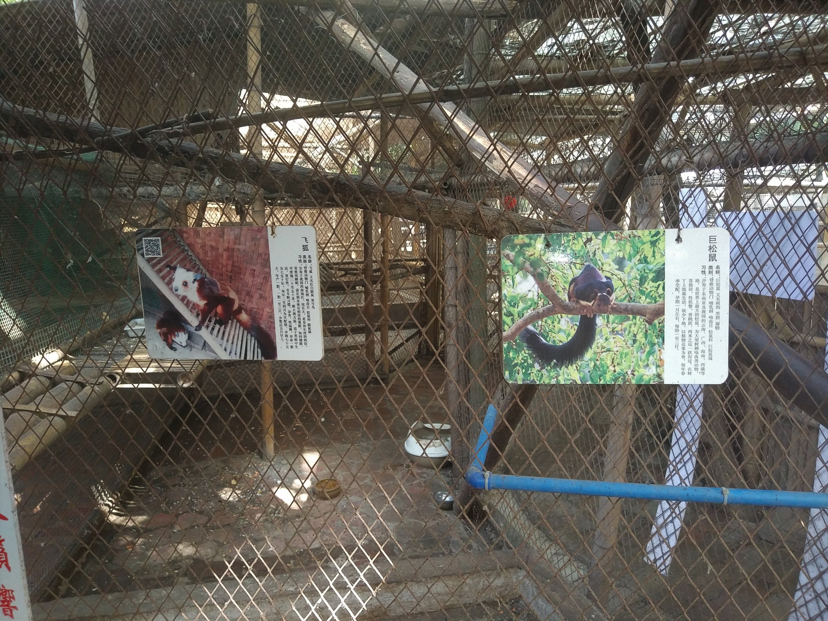 Giant (Flying) Squirrel Signage