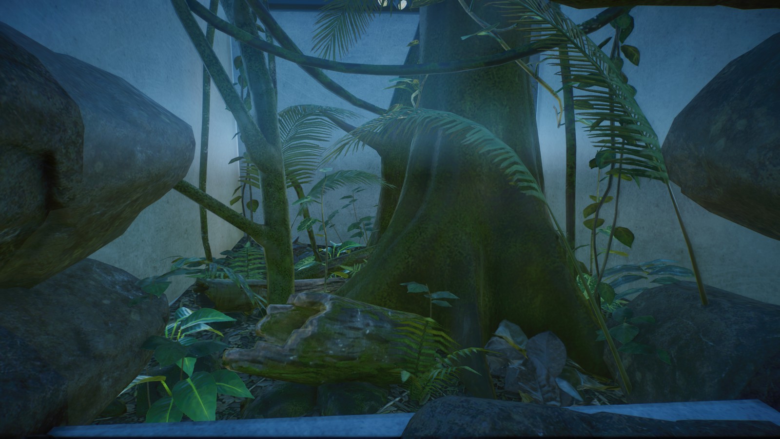 Giant Forest Scorpion Tank