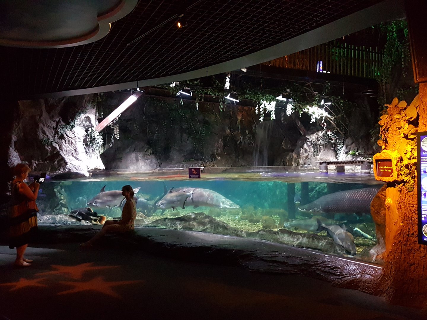 Giant freshwater fish exhibit