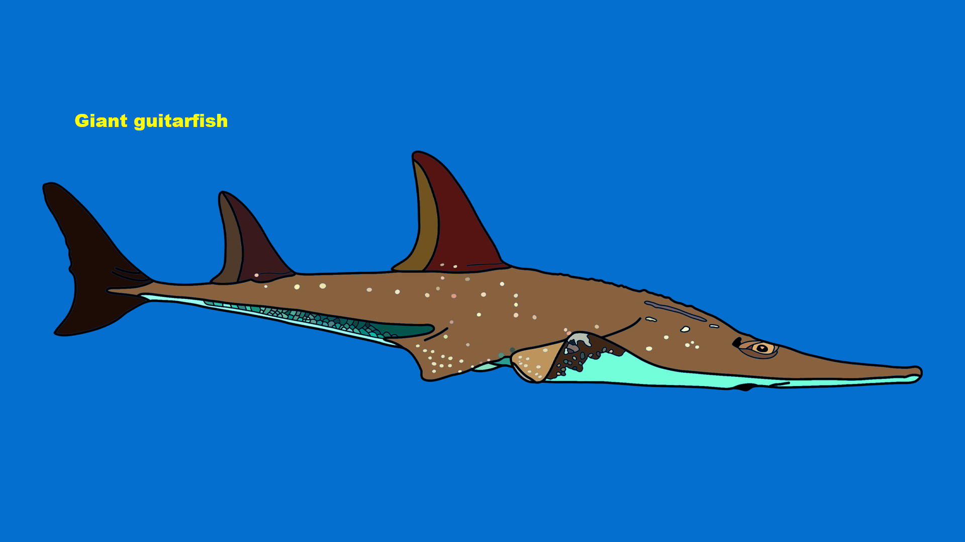 Giant guitarfish (Rhynchobatus djiddensis)