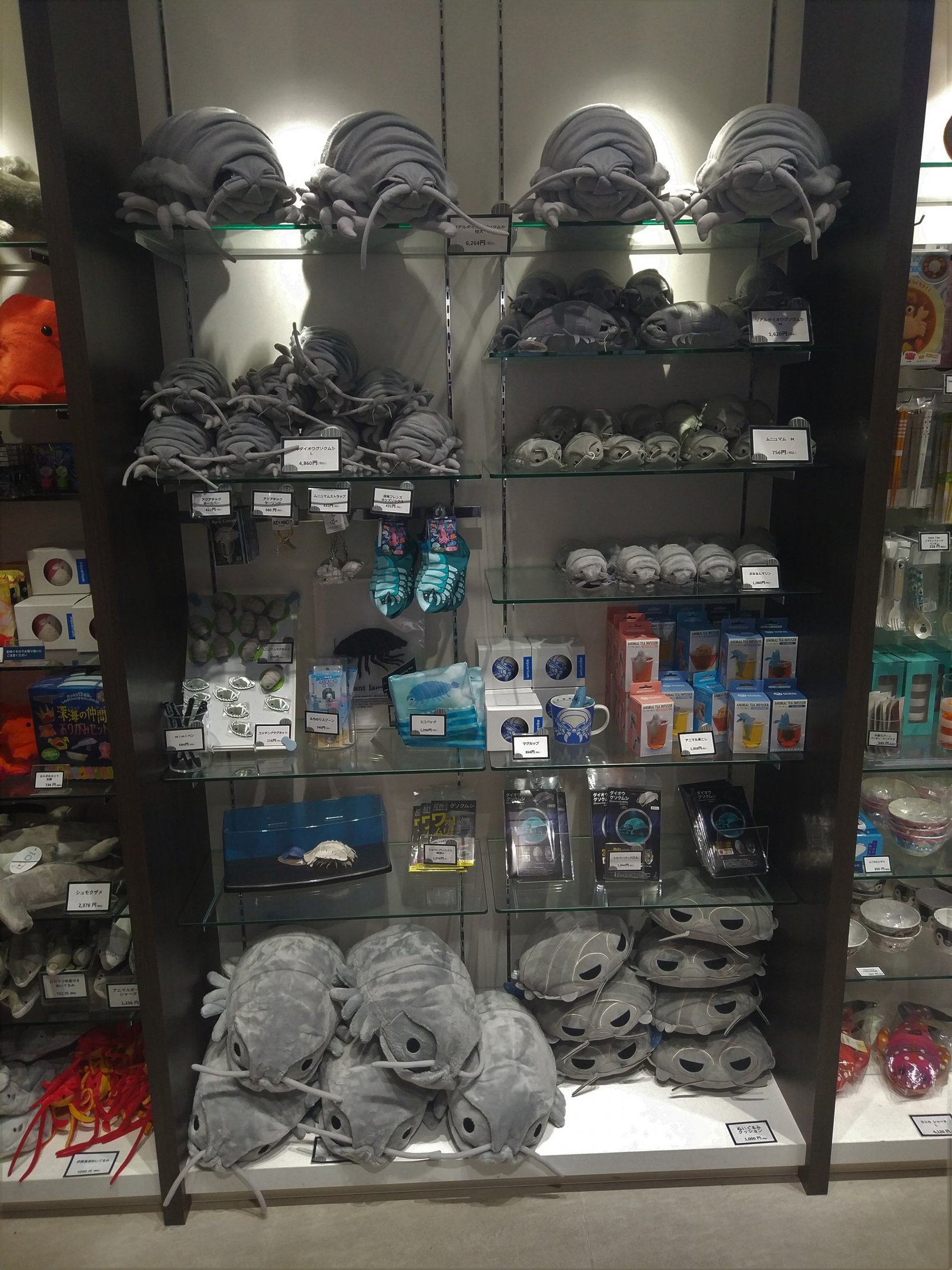 Giant Isopod Cuddly Toys