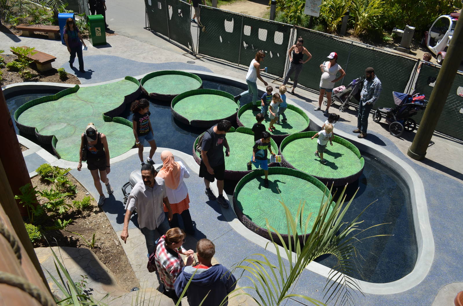 Giant Lilly Pads Walkway