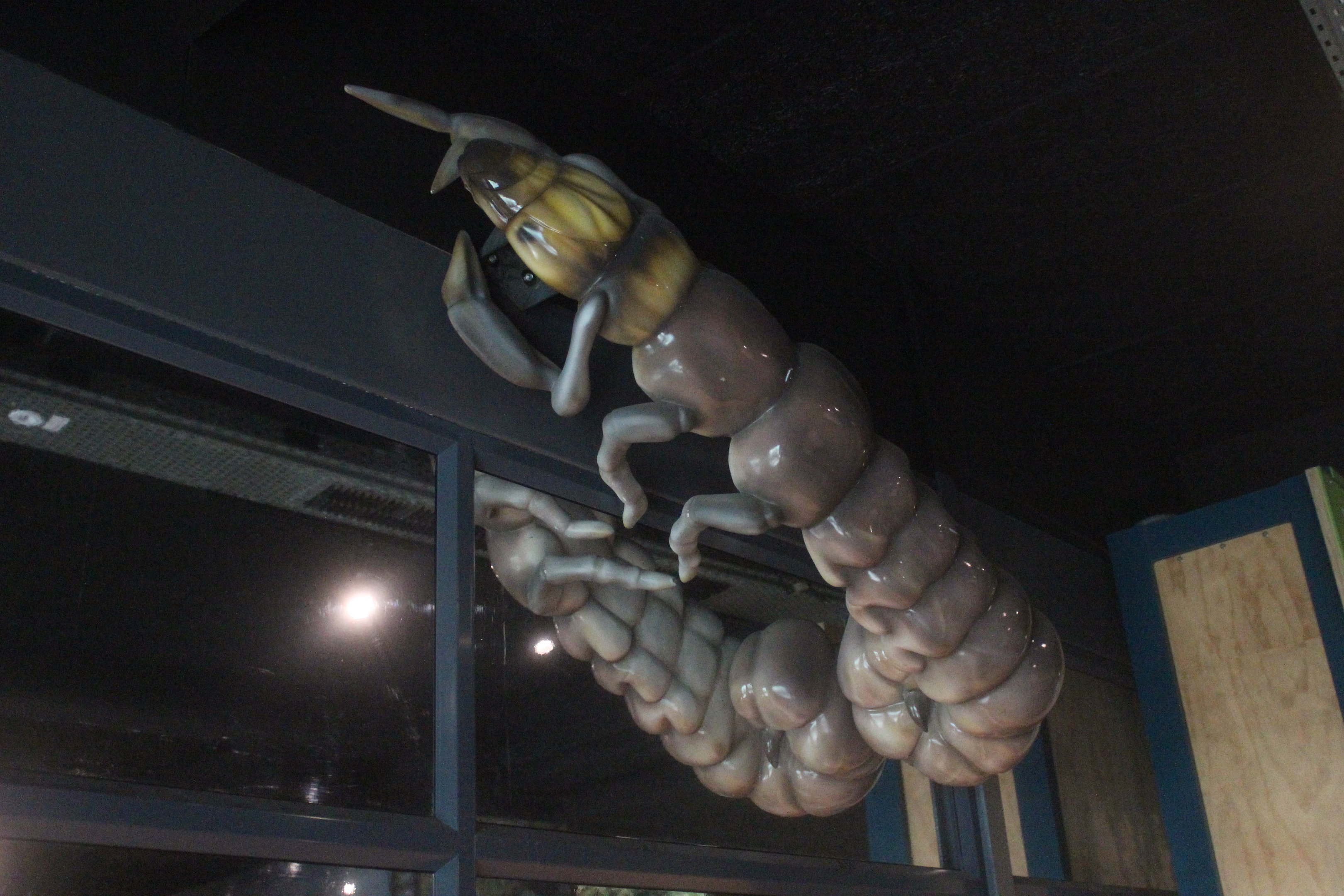 Giant model of Caddisfly larva