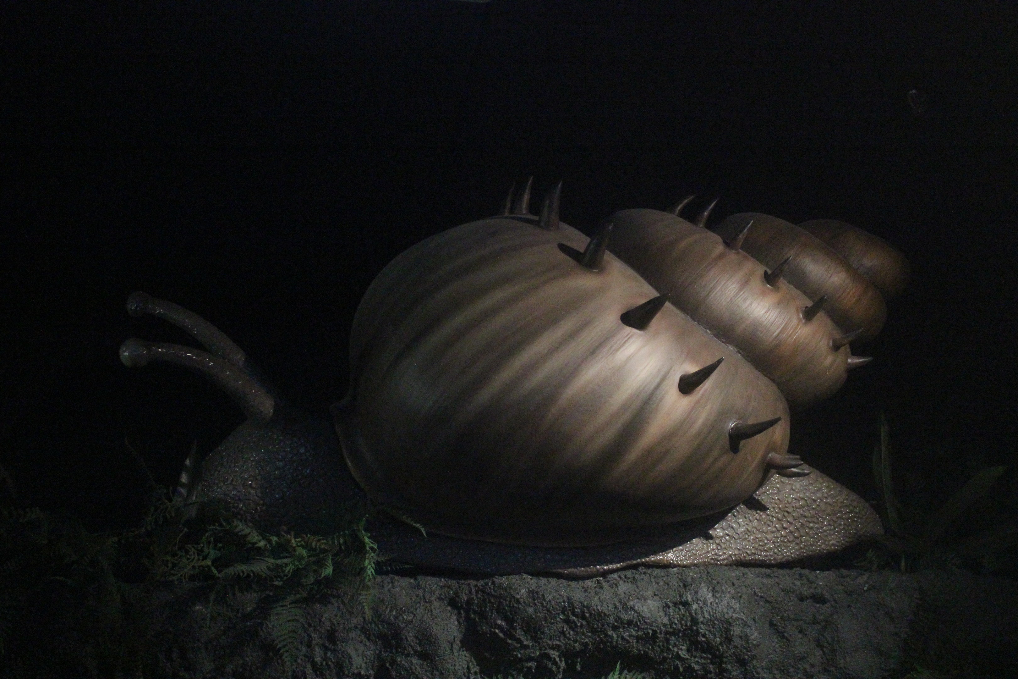 Giant model of Snail