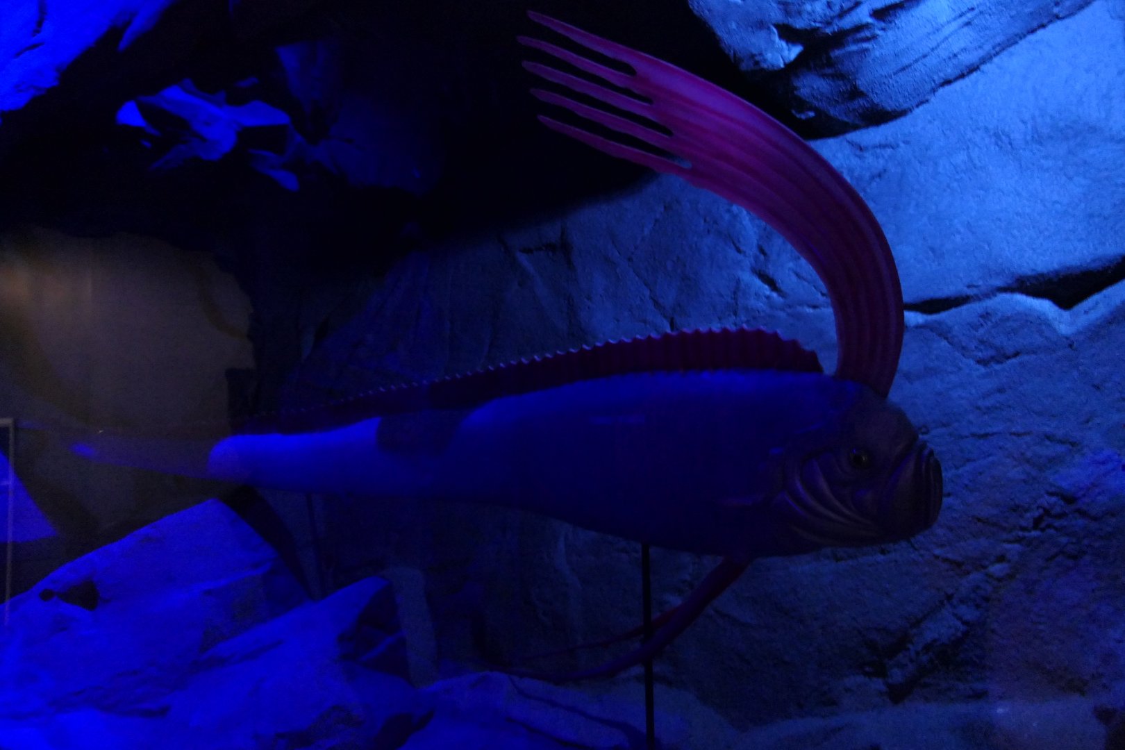 Giant Oarfish model