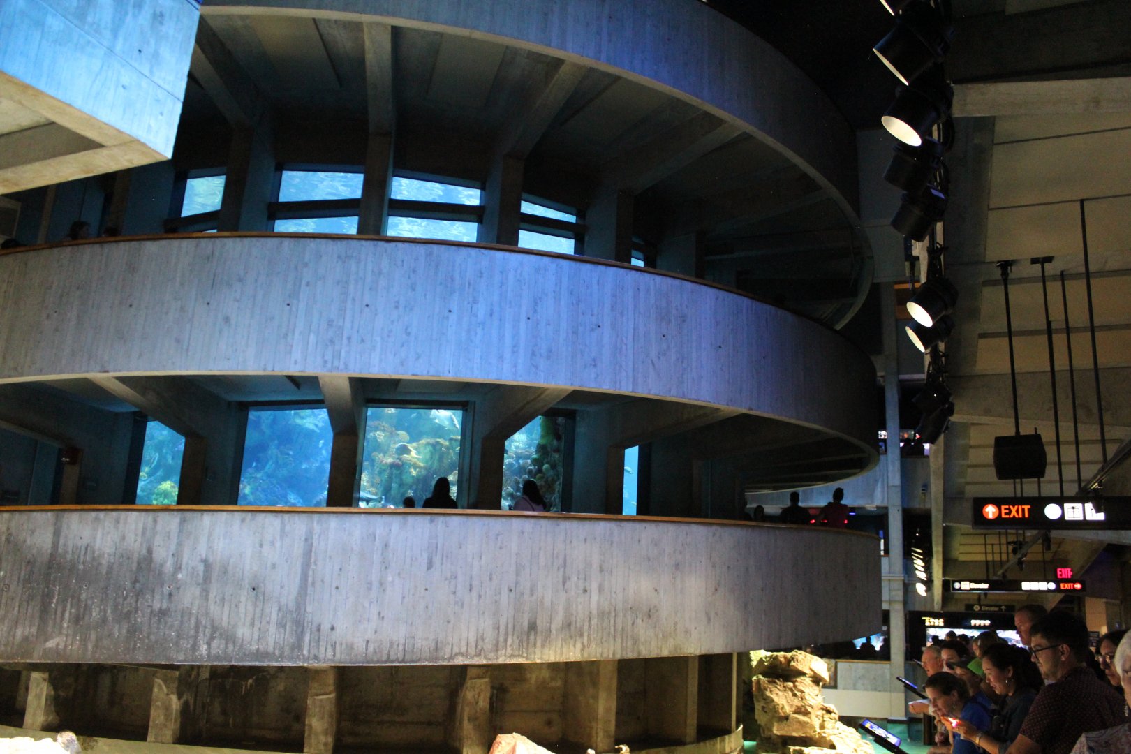 Giant Ocean Tank - Oct 2017