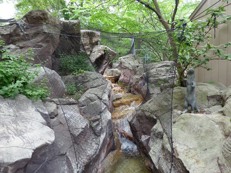 Giant Otter 360 Trail between exhibits (Water is Life) - May 2018