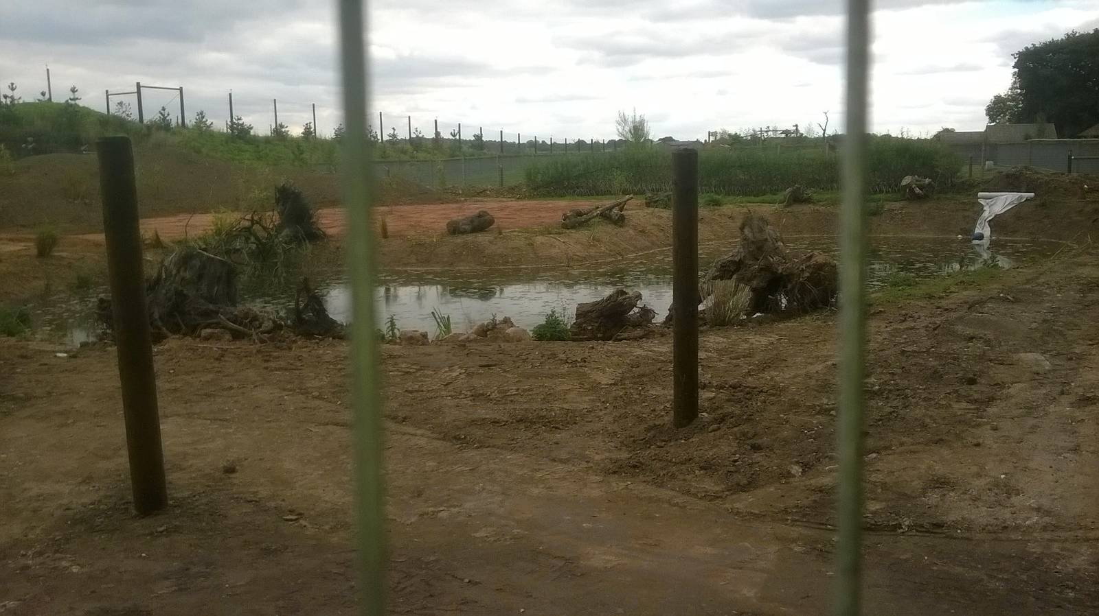 Giant Otter Construction - 20th Sept 2015