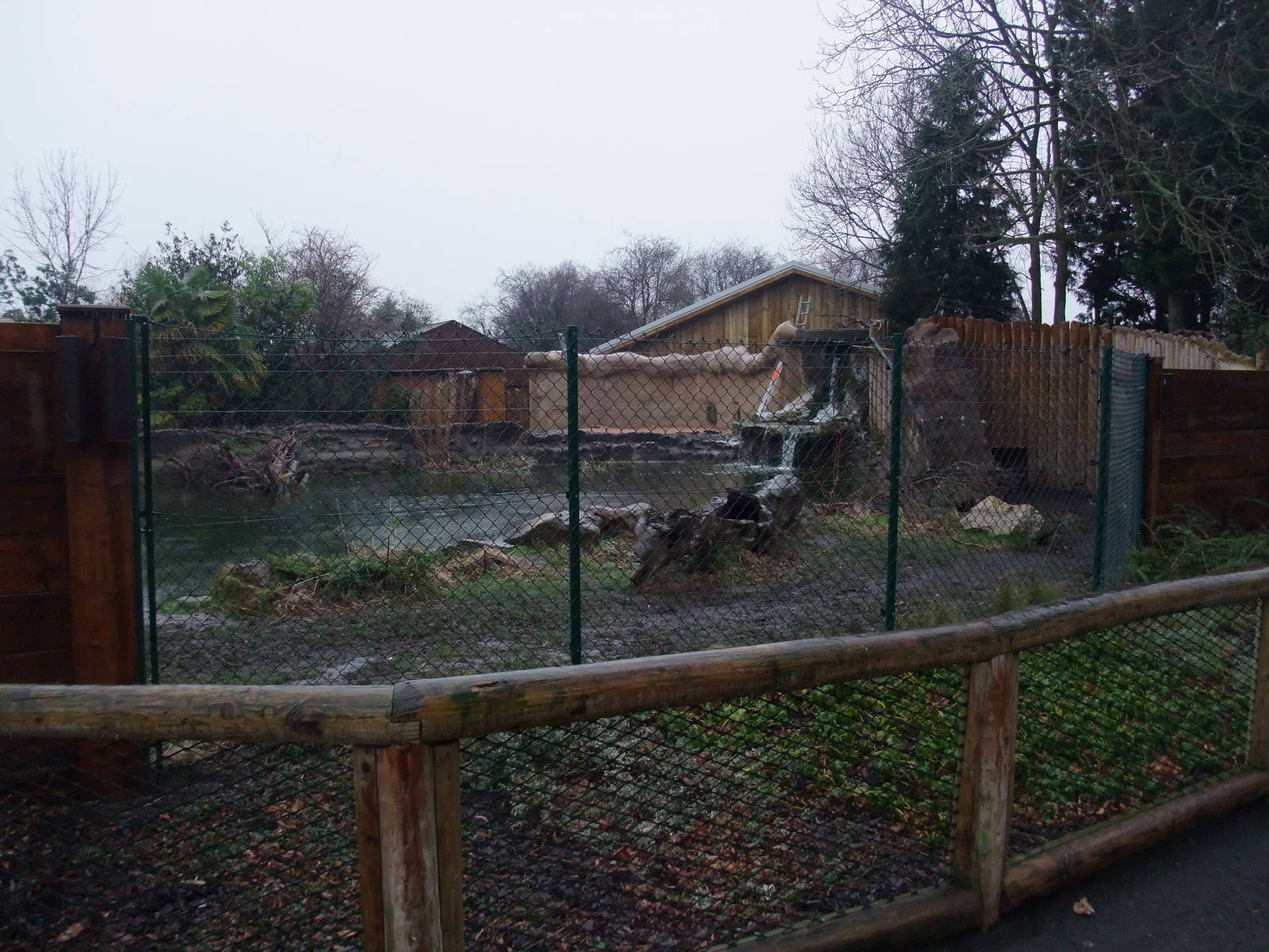 Giant Otter Construction at Chester, 04/02/12