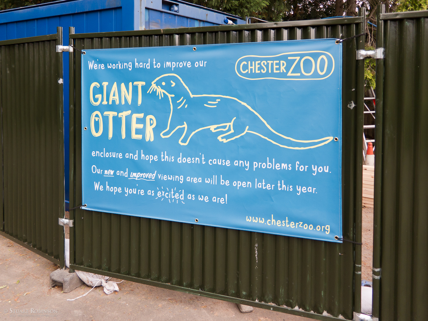 Giant Otter Development - 07/09/2011