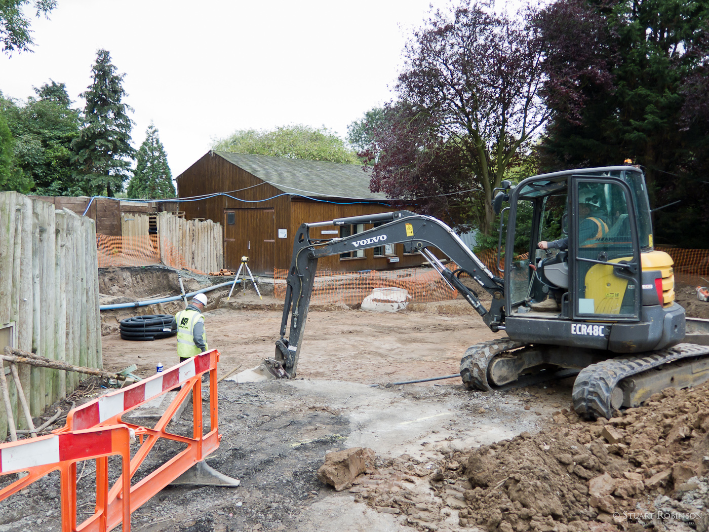 Giant Otter Development - 07/09/2011