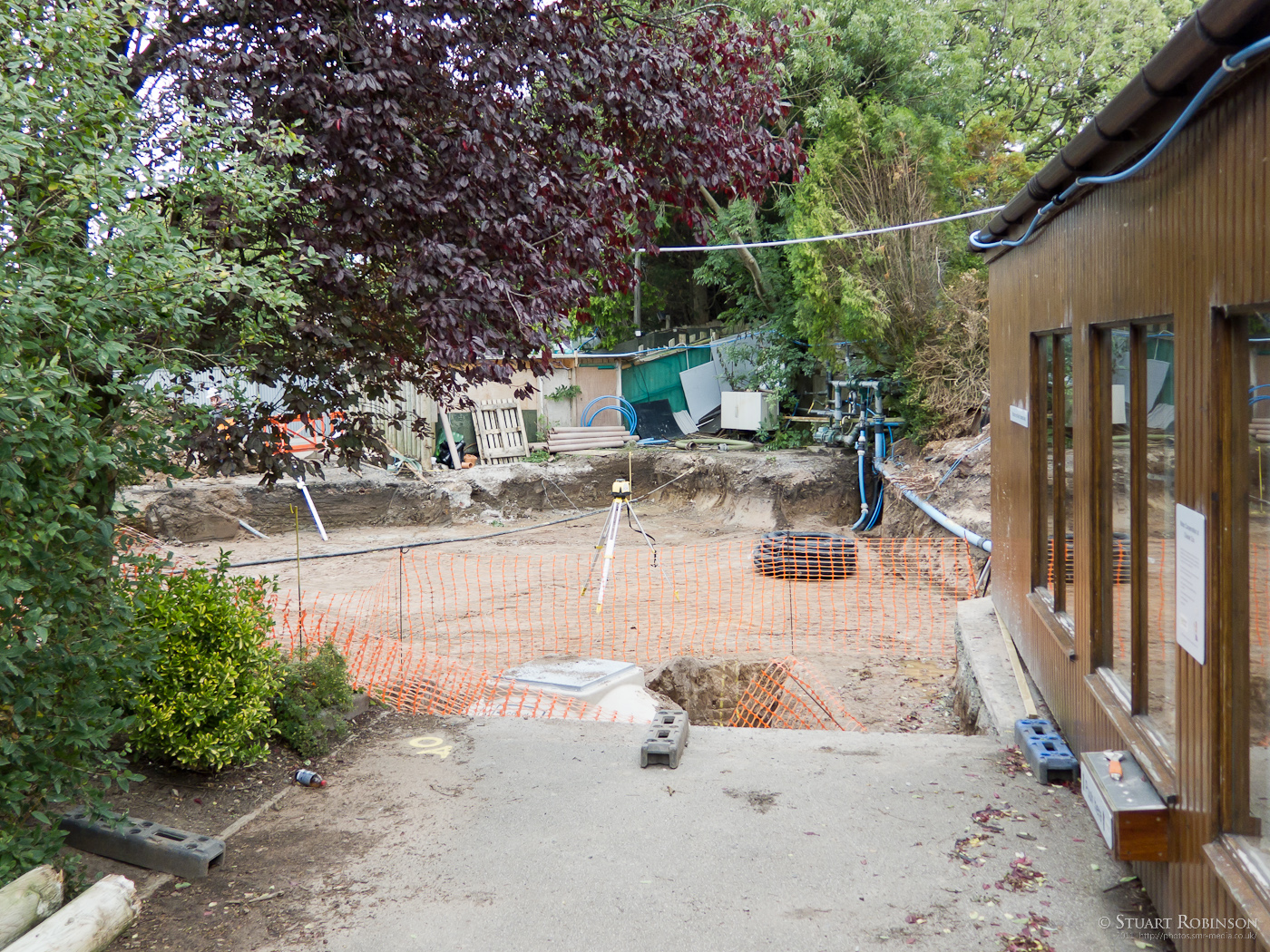 Giant Otter Development - 07/09/2011