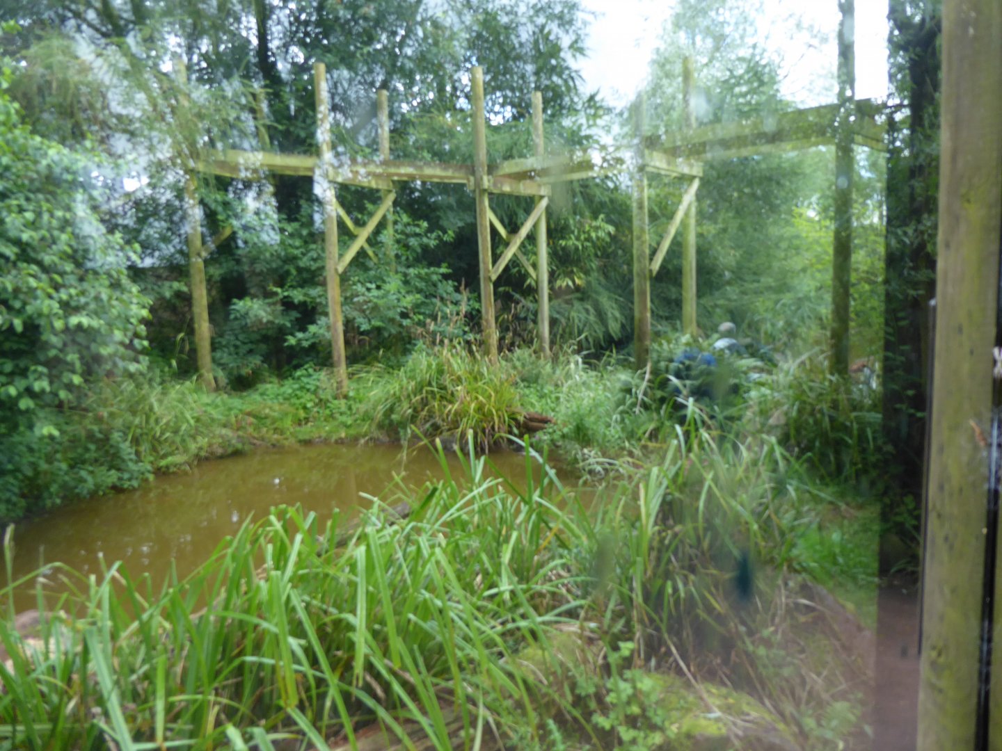 Giant otter enclosure 020817
