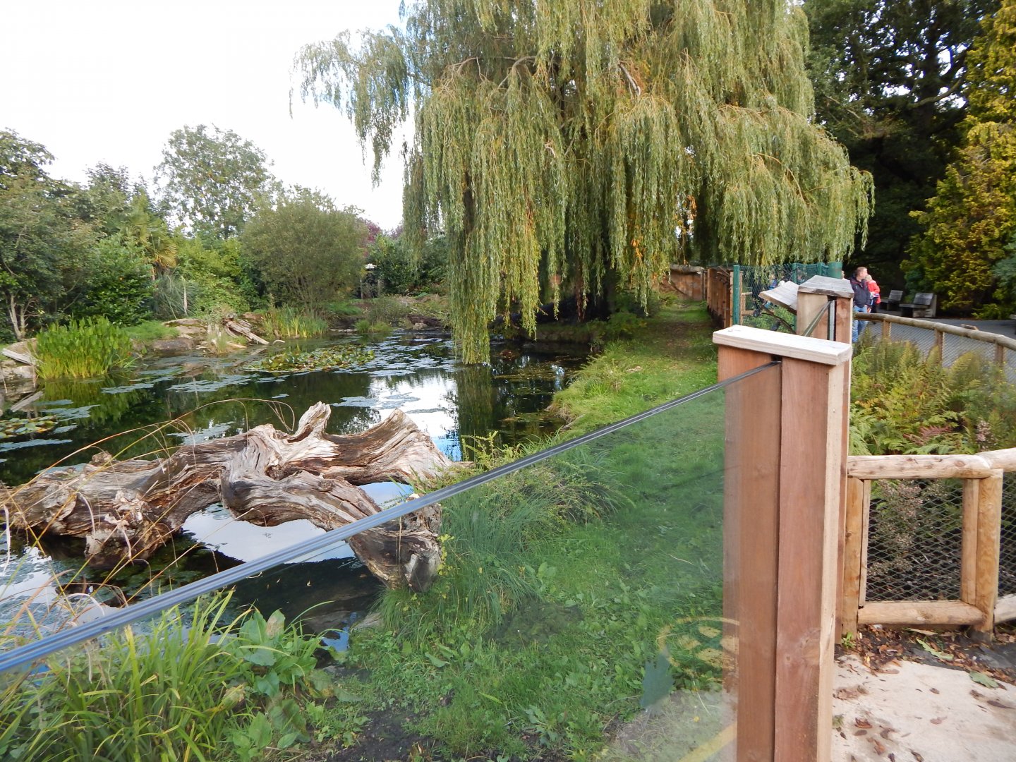 Giant otter enclosure 081020