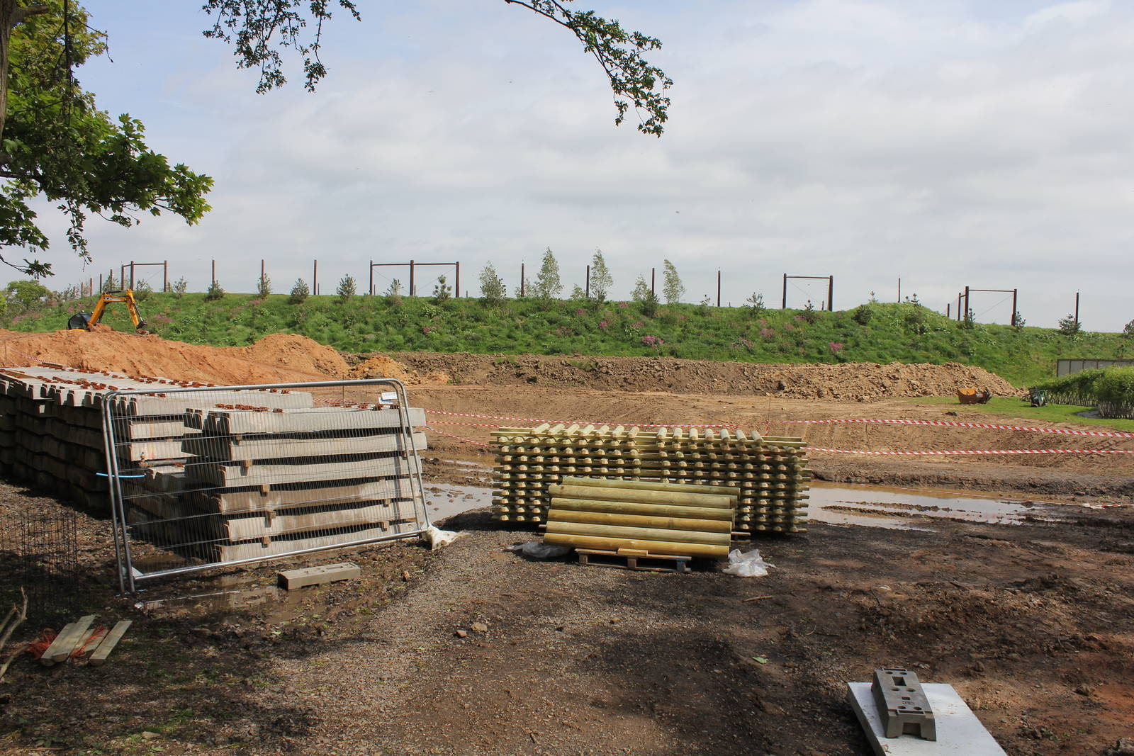 Giant otter enclosure. 10-5-15