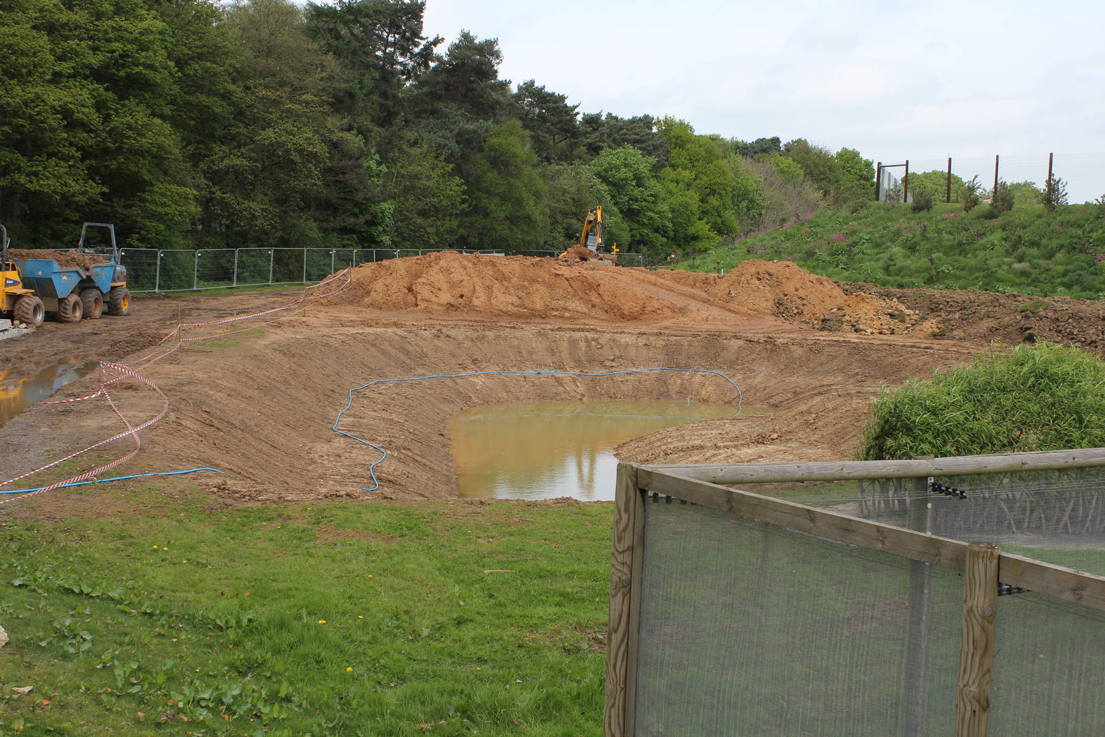 Giant otter enclosure 10-5-15