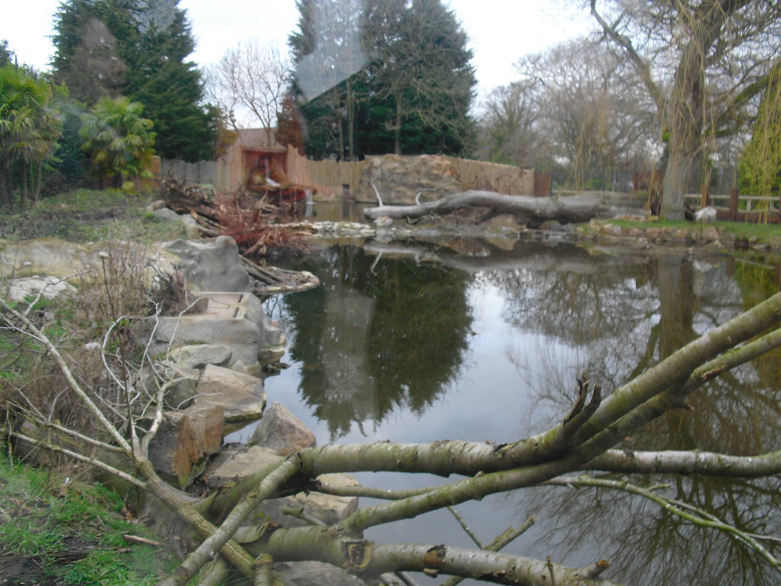 Giant Otter Enclosure - 16/02/2011