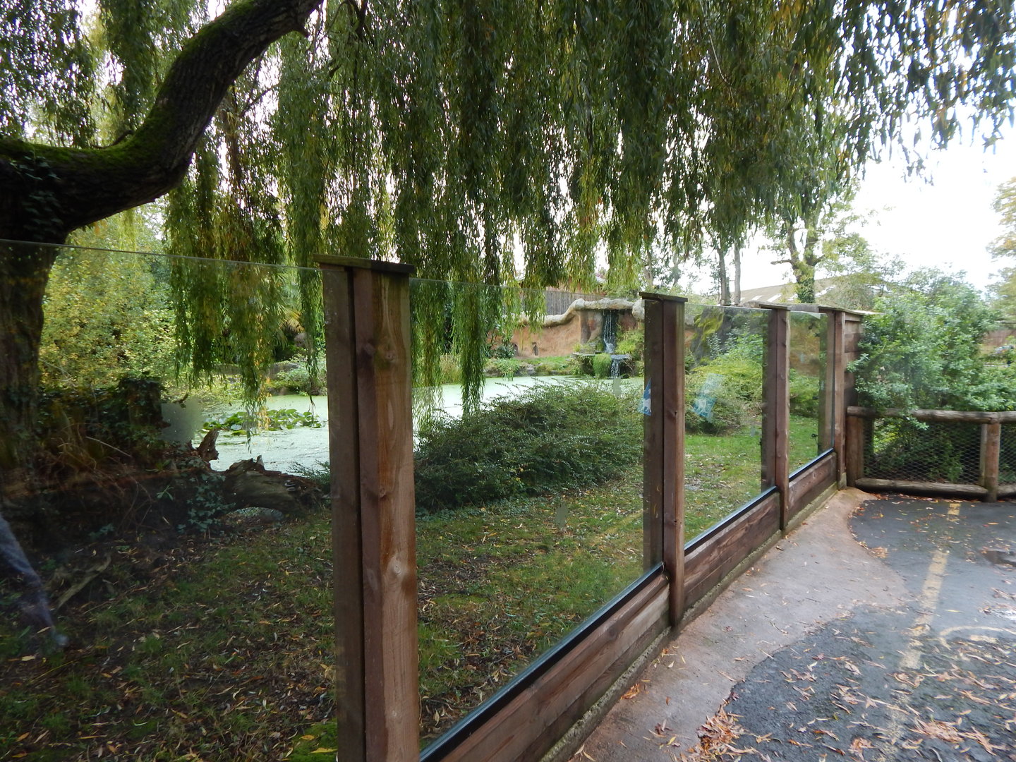 Giant otter enclosure 221022