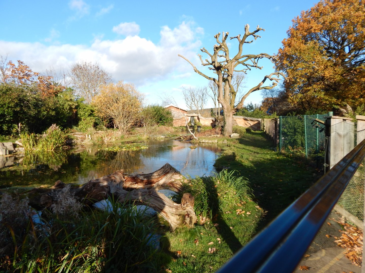 Giant otter enclosure 241123