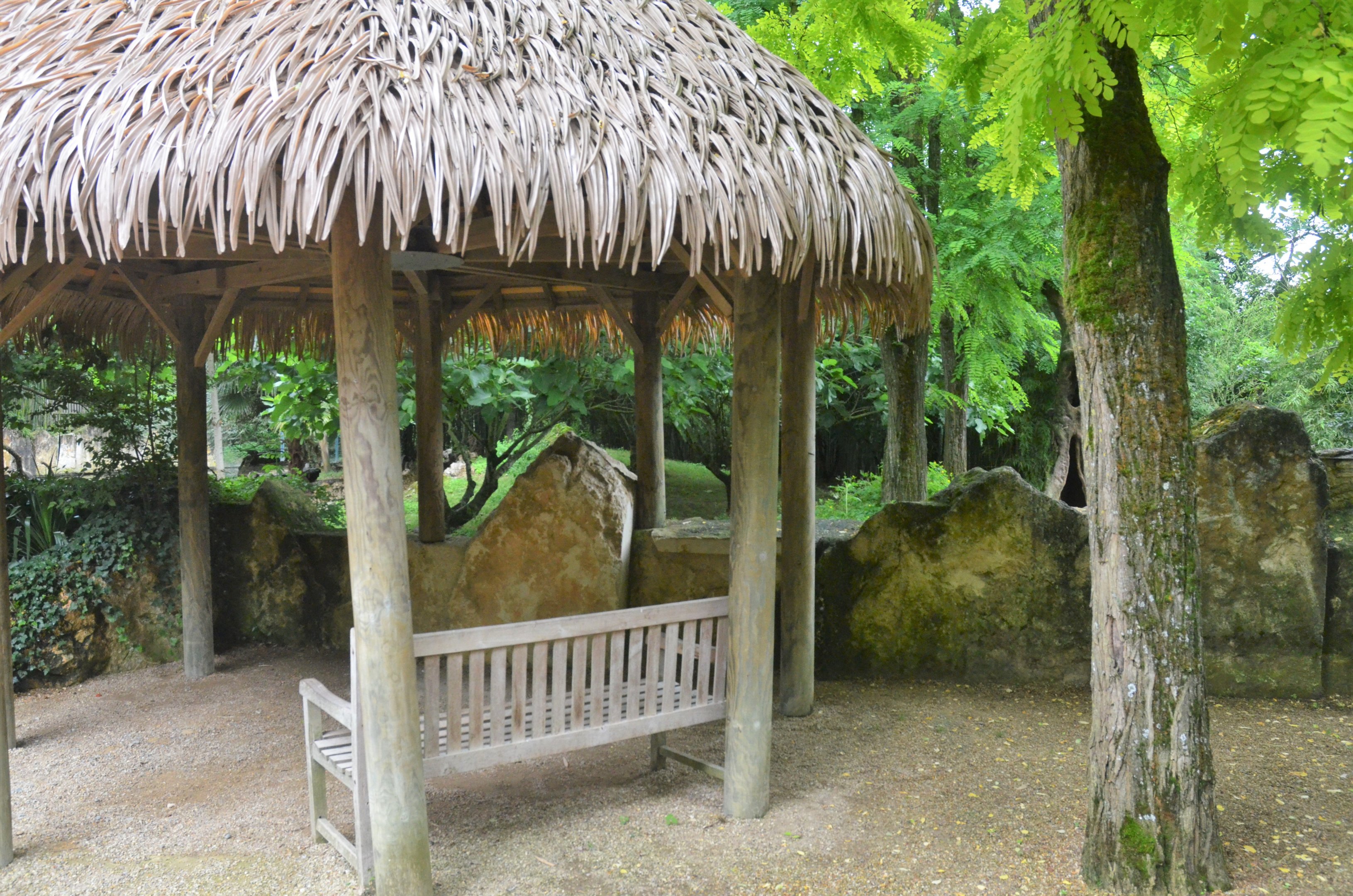 Giant Otter Enclosure at Doué-la-Fontaine, 15/06/18