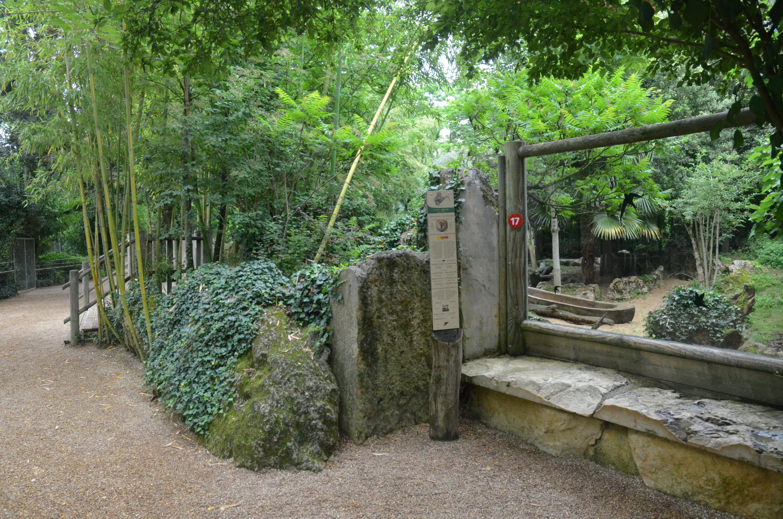 Giant Otter Enclosure at Doué-la-Fontaine, 15/06/18