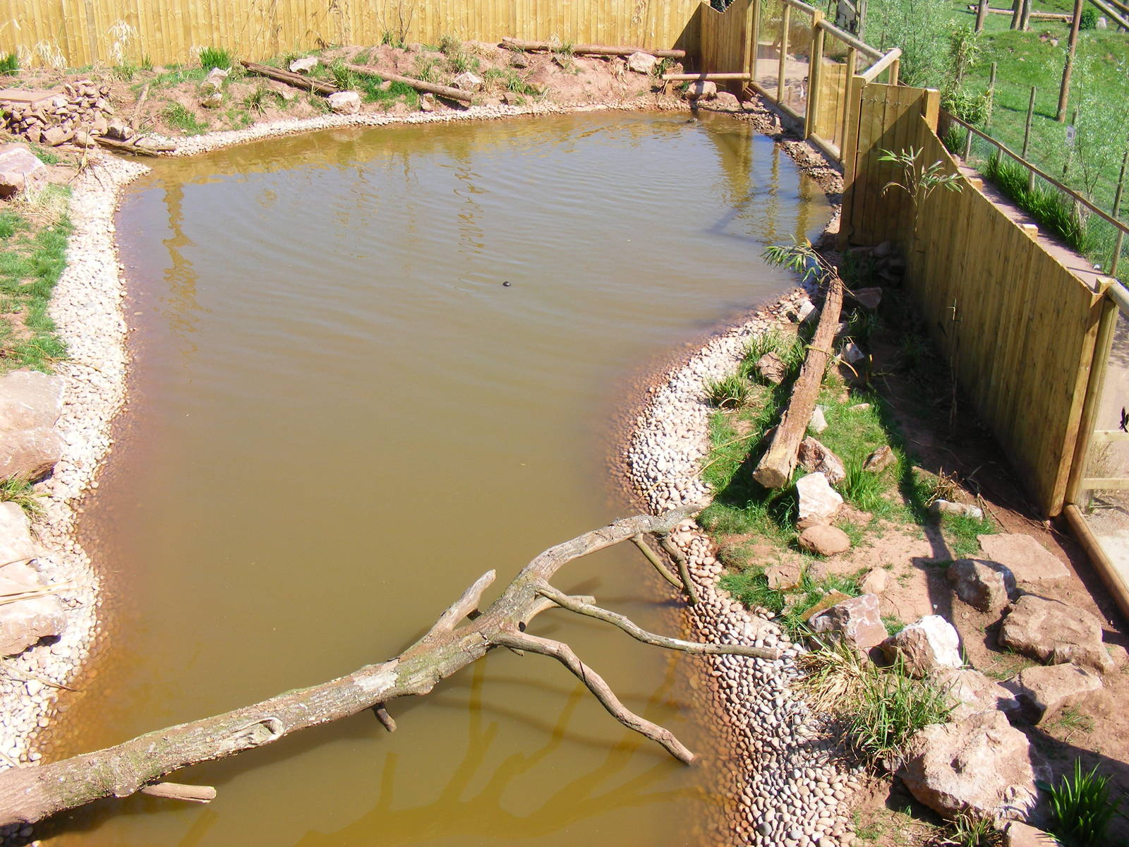 Giant otter enclosure at South Lakes Wild Animal Park, 23 May 2010