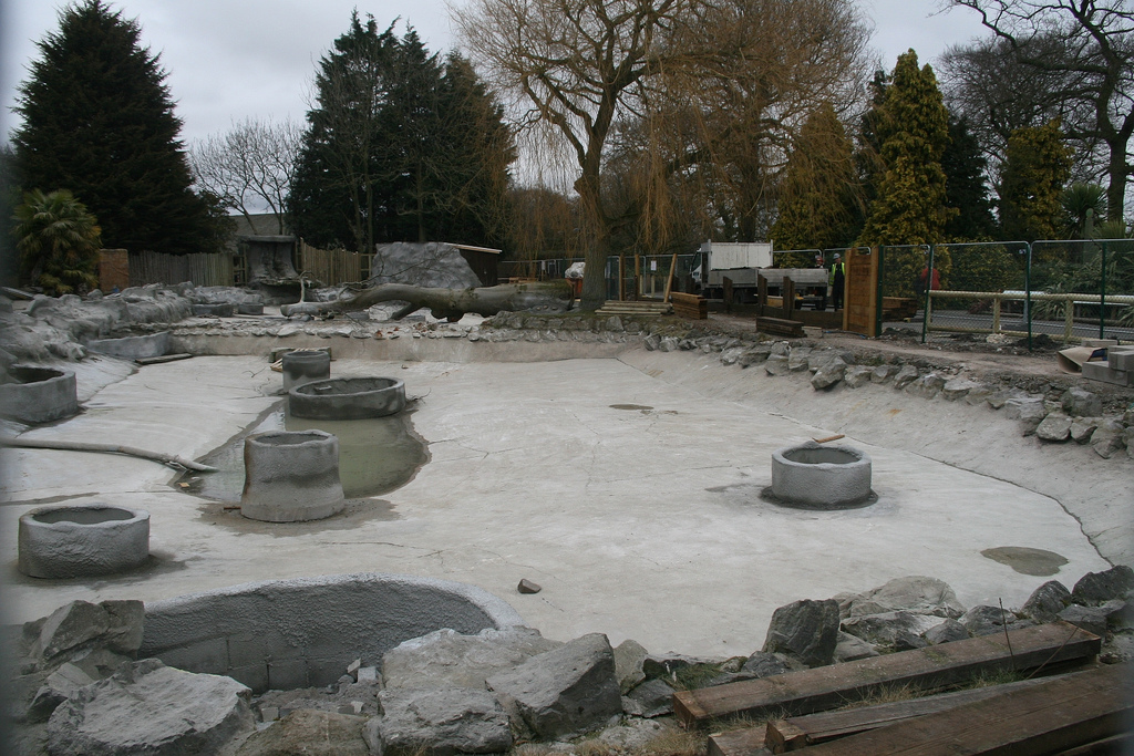 Giant Otter Enclosure Construction #2