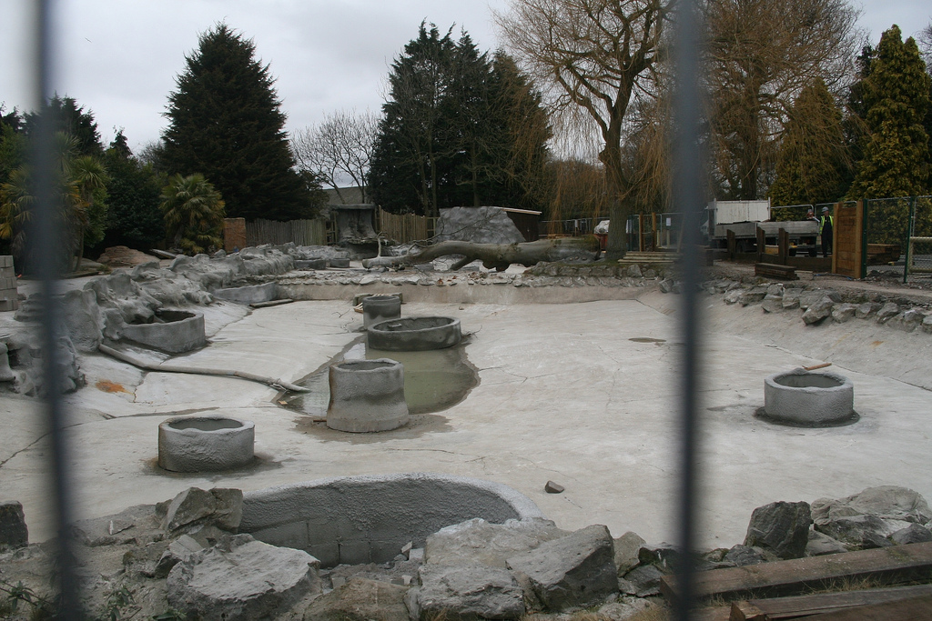 Giant Otter Enclosure Construction #3