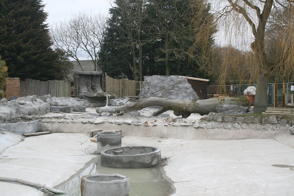Giant Otter Enclosure Construction #4