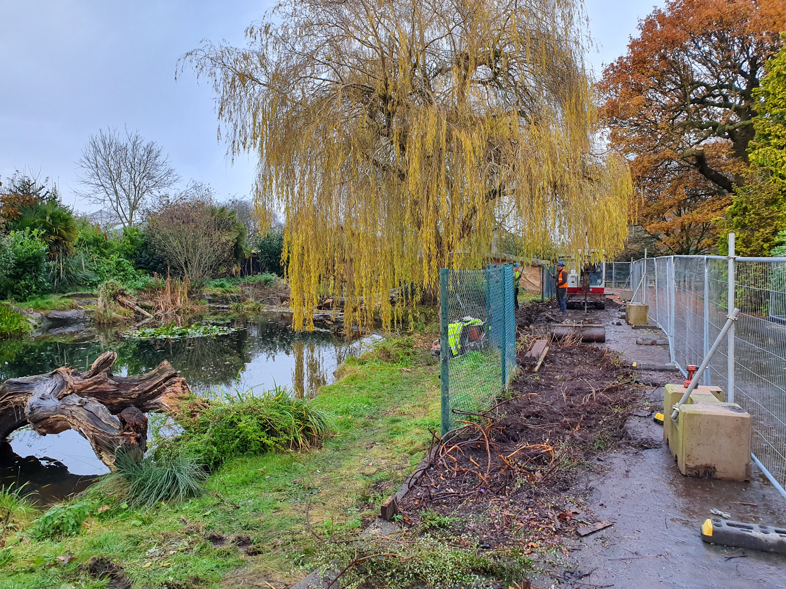 Giant Otter Enclosure Fence Replacement - 27/11/2019