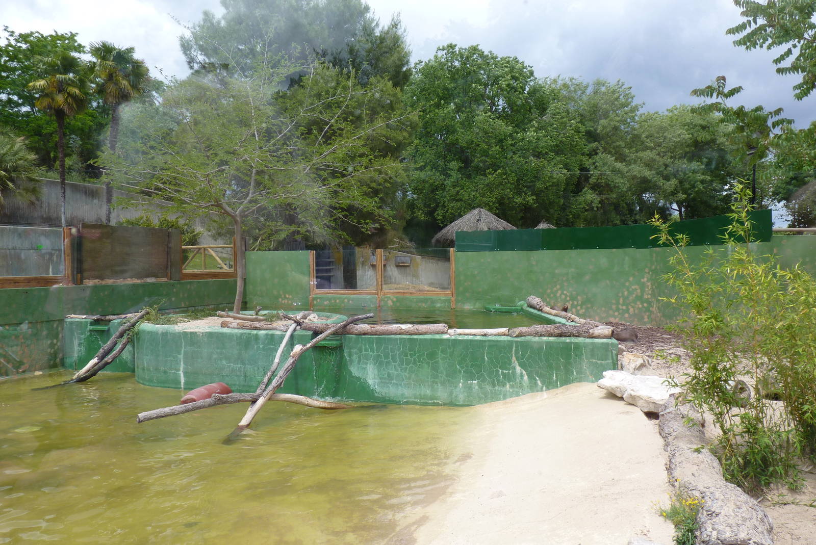 Giant Otter Enclosure, June 2013