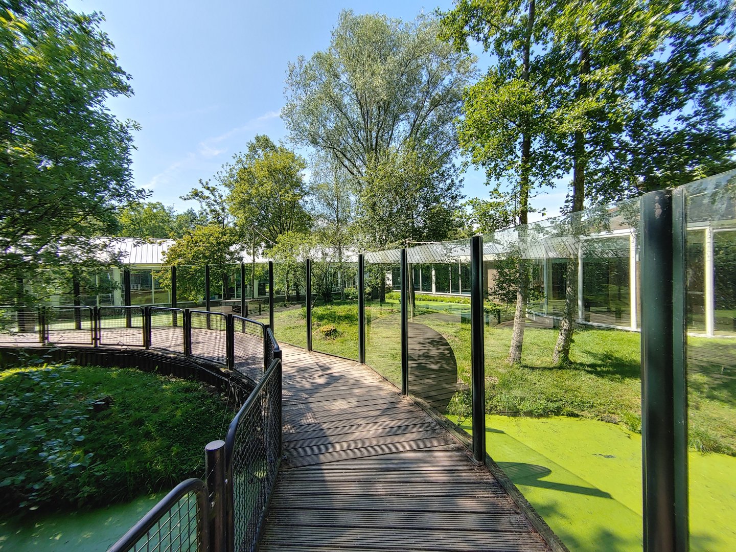 Giant otter enclosure - outdoor enclosure