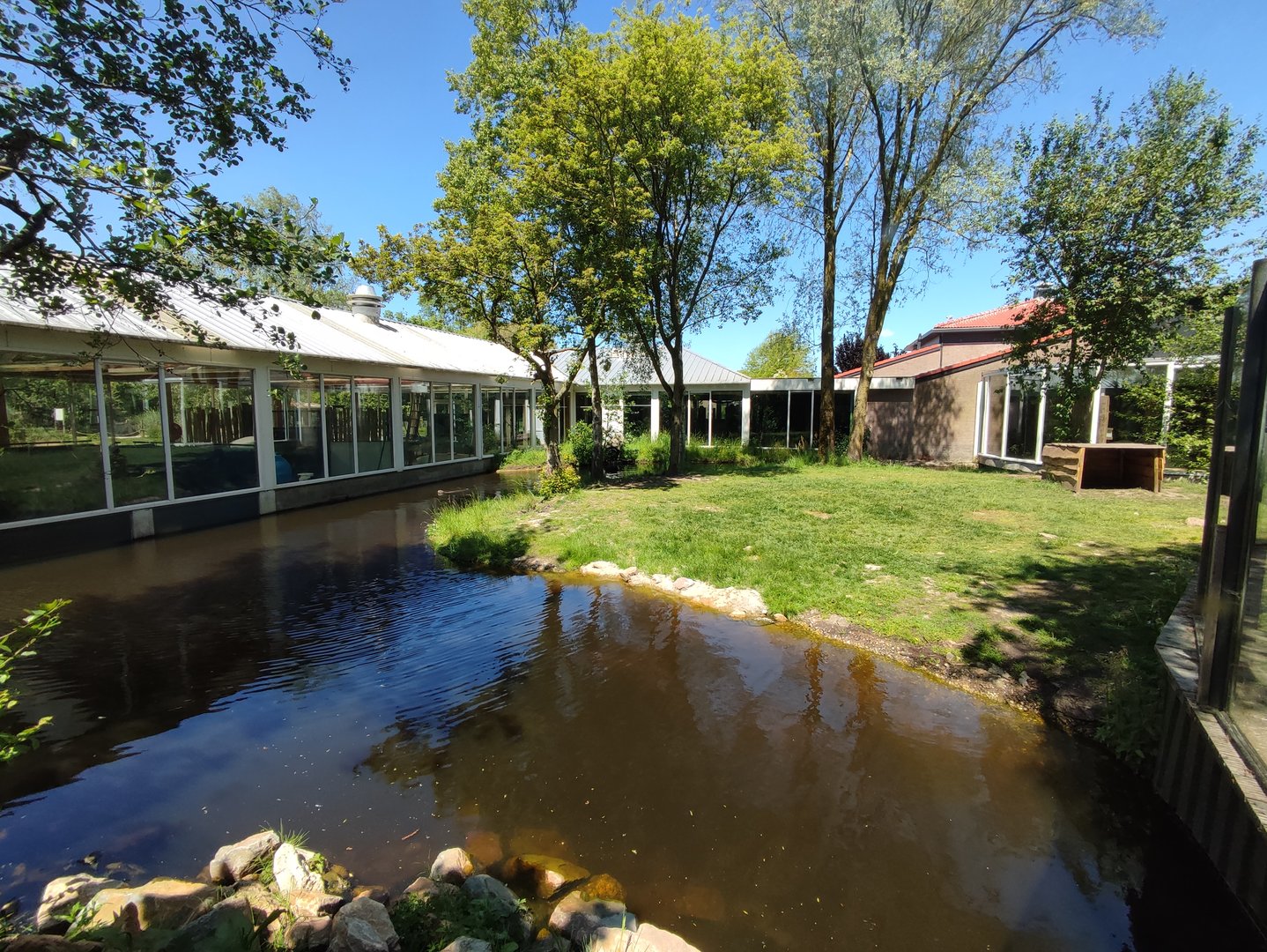 Giant otter enclosure - outdoor enclosure