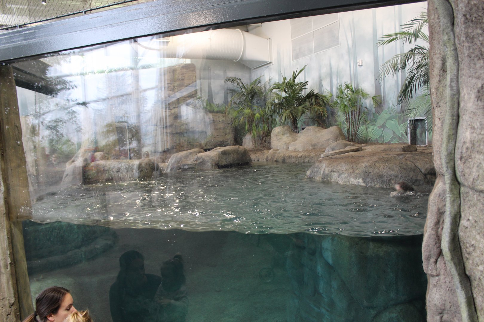 Giant Otter Enclosure Part 1