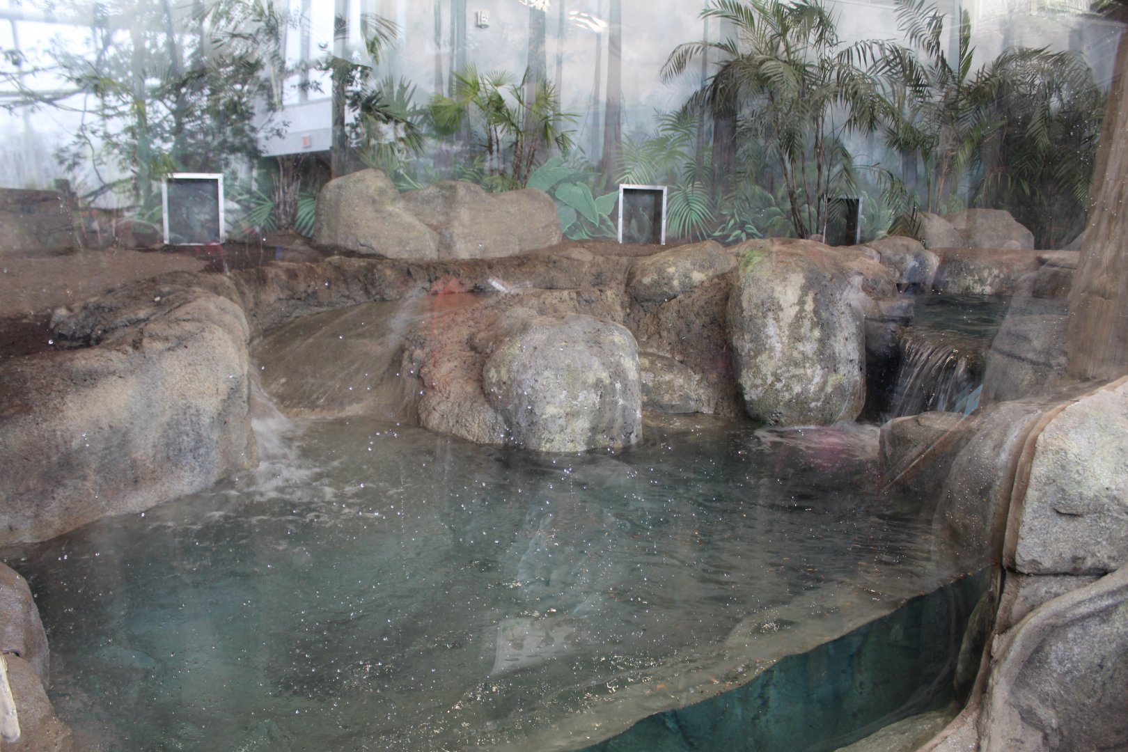 Giant Otter Enclosure Part 2