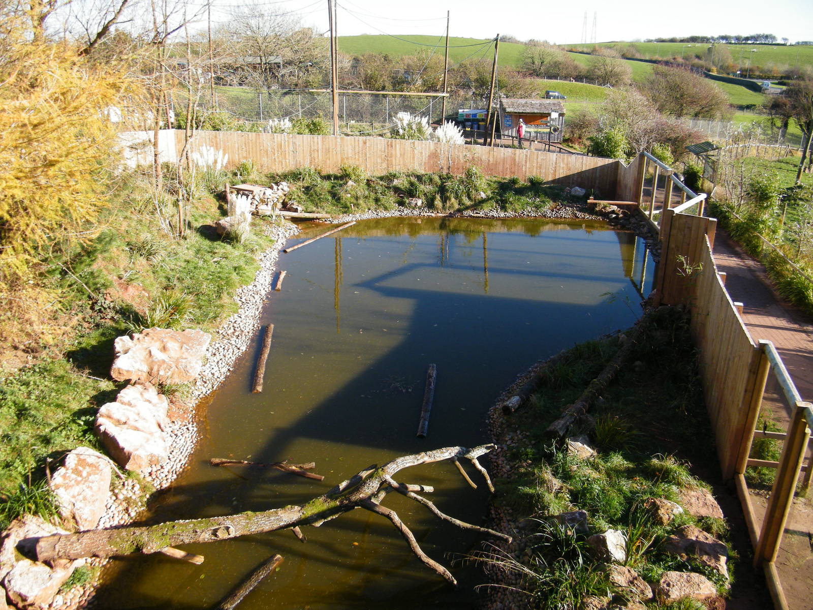 Giant Otter enclosure